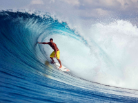 杨长懿:你经常重复什么你就获得什么